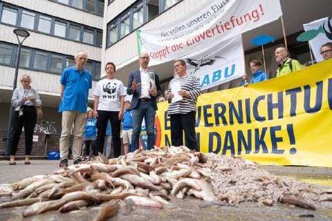 News Bilder des Tages Demonstration vor der Wirtschaftsbehörde - Fischsterben in der Elbe - Umweltverbände beantragen Aussetzen der Arbeiten zur Elbvertiefung - angesichts des aktuell Sauerstoffmangels in der Elbe fordert das Bündnis Lebendige Tideelbe aus BUND, NABU und WWF von der Hamburger Wirtschaftsbehörde, dass die geplanten Baggerarbeiten zur Elbvertiefung in den Sommermonaten ausgesetzt werden, wenn fischkritische Sauerstoffwerte im Elbwasser unterschritten werden - Alexander Porschke, Vorsitzender des NABU Hamburg, Beatrice Claus, WWF-Referentin Referentin für Ästuare und Flusspolitik, Manfred Braasch, Landesgeschäftsführer des BUND Hamburg, Susanne Meinecke, Pressesprecherin Wirtschaftsbehörde, Aktivistinnen (von links);Demonstration vor der Wirtschaftsbehörde - Fischsterben in der Elbe - Umweltverbände beantragen Aussetzen der Arbeiten z