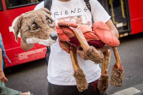News Bilder des Tages June 29, 2019 - PETA (People for the Ethical Treatment of Animals) supporters demonstrate against animals being used in the brands clothing outside Canada Goose Regent Street store on June 29th 2019 n London, United Kingdom while observing an injunction passed in December 2017, which restricts the protestors use of loudspeakers to 15 minute intervals and imposing an Ã¢â‚¬oeExclusion ZoneÃ¢â‚¬Â around the store protestors can not pass.  - ZUMAr152 20190629_zaa_r152_021 Copyright: xOlliexMillingtonx xRmvx