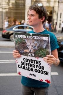 June 29, 2019 - PETA (People for the Ethical Treatment of Animals) supporters demonstrate against animals being used in the brands clothing outside Canada Goose Regent Street store on June 29th 2019 n London, United Kingdom while observing an injunction passed in December 2017, which restricts the protestors use of loudspeakers to 15 minute intervals and imposing an Ã¢â‚¬oeExclusion ZoneÃ¢â‚¬Â around the store protestors can not pass.  - ZUMAr152 20190629_zaa_r152_018 Copyright: xOlliexMillingtonx xRmvx