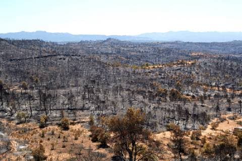 IMAGO Nature: Unsere Erde, Klimawandel, Waldbrände News Bilder des Tages View of burnt land in Flix, Tarragona province, Catalonia, Spain, after a forest fire, 30 June 2019. A forest fire declared 26 June 2019 has already burnt more than 6,000 hectares but is mostly under control as firefighters try to avoid it from reactivating and spreading. Fire in Tarragona mostly under control !ACHTUNG: NUR REDAKTIONELLE NUTZUNG!  Copyright: xAlejandroxGarciax GRAF6754 20190630-636975062145749504