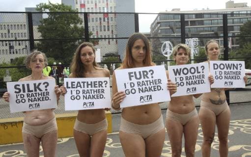 Nur mit Unterwaesche bekleidet und Protest-Schildern vor der teils nackten Brust demonstrieren Unterstuetzerinnen der Tierschutzorganisation PETA am Dienstagmorgen (02.07.19) auf der Fashion Week in Berlin. Unter dem Motto Lieber nackt als in Pelz, Leder, Wolle, Daunen oder Seide appellieren die Teilnehmerinnen an Einkaeufer und Verbraucher, sich ueber das Tierleid in der Modeindustrie zu informieren. Anlaesslich des 25-jaehrigen Jubilaeums von PETA Deutschland liess die Organisation mit der Aktion einen ihrer bekanntesten Demo-Klassiker aufleben. Die Tierschutzorganisation setzt sich fuer die Verwendung rein pflanzlicher oder synthetischer Materialien bei Fashion Labels und in der Bekleidungsbranche ein. PETA-Protest auf der Fashion Week in Berlin