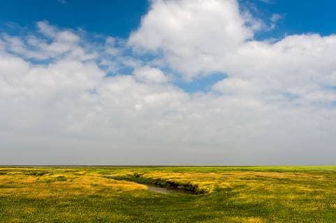 Kuestenlandschaft mit Salzwiesen unter einem weitem Himmel, Deutschland, Schleswig-Holstein, Schleswig-Holsteinisches Wattenmeer Nationalpark, Westerhever Coastal landscape with salt marsh under a broad sky, Germany, Schleswig-Holstein, Schleswig-Holstein Wadden Sea National Park, Westerhever BLWS536693 Copyright: xblickwinkel G.xFischerx
