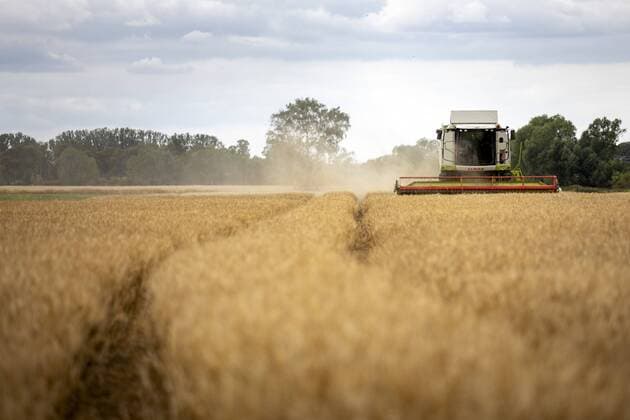 Ein Maehdrescher erntet das Getreide auf einem Gerstenfeld in Brandenburg. Dallgow-Doeberitz, 03.07.2019. Dallgow-Doeberitz Deutschland *** A combine harvester harvests the grain on a barley field in Brandenburg Dallgow Doeberitz, 03 07 2019 Dallgow Doeberitz Germany Copyright: xJaninexSchmitz photothek.netx