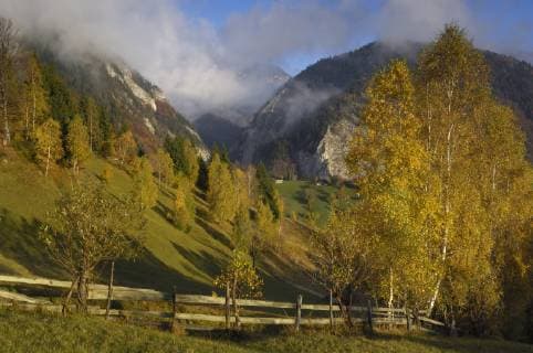Rural landscape and Mt. Rock of the King, Piatra Craiului National Park, Transylvania, Southern Carpathian Mountains, Romania, October 2008  1230456 WildxWondersxofxEuropexDörr