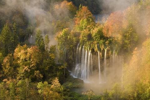 Veliki Prstavci waterfalls close to Gradinsko lake at dawn, Upper Lakes, Plitvice Lakes NP, Croatia, October 2008. WWE BOOK. WWE OUTDOOR EXHIBITION *PRESS IMAGE  1243268 WildxWondersxofxEuropexBiancarelli