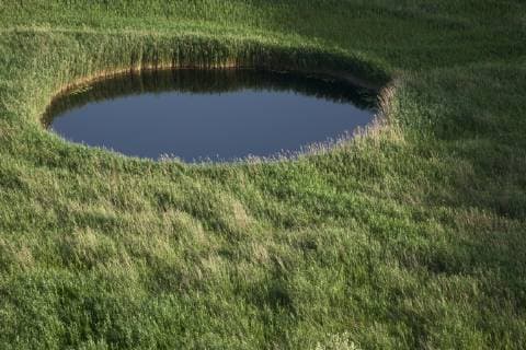 Sinkhole in marshland covered in Reeds (Phragmites sp) near the lower Neretva river delta, Dalmatia region, Croatia, May 2009  1269619 WildxWondersxofxEuropexdellaxFerrera