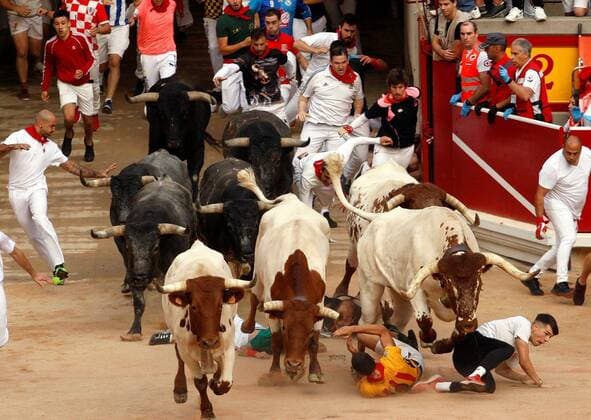 News Bilder des Tages Several mozos , or runners, are chased by bulls of Miura ranch during the last encierro, or running-with-the-bulls, of the Sanfermines festivities in Pamplona, Spain, 14 July 2019. The festival of San Fermin, locally known as Sanfermines, is held annually from 06 to 14 July in commemoration of the city s patron saint. Hundreds of thousands of visitors from all over the world attend the fiesta. Many of them physically participate in the highlight event - the running of the bulls, or encierro - where they attempt to outrun the bulls along a route through the narrow streets of Pamplona s old city.- Fiesta de San Fermin in Pamplona !ACHTUNG: NUR REDAKTIONELLE NUTZUNG!  Copyright: xManuelxCastellsx GR7042 20190714-636986941080997444