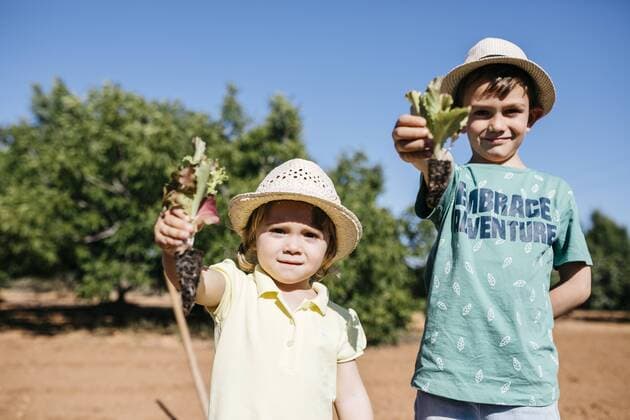 Brother and sister showing the vegetables they are going to plant model released Symbolfoto  JRFF03387