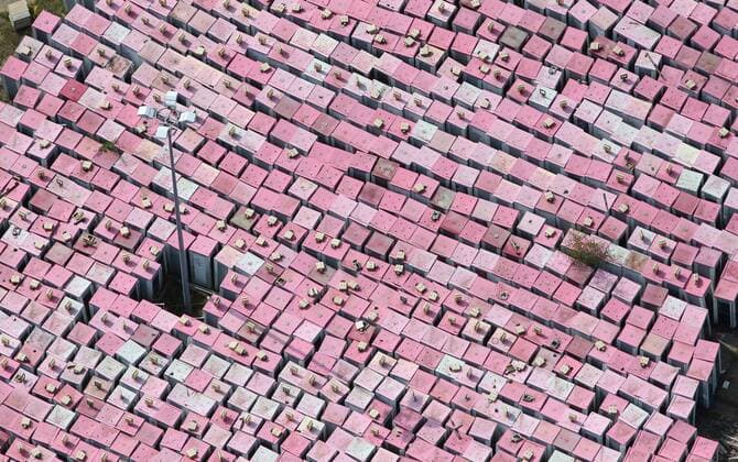 Luftbilder MICHENDORF, 04.08.19, Sammelstelle für Telefonzellen Telekom Gelände pinkfarbene Telefonzellen lagern in einem Wald bei Michendorf und sind zum Verkauf freigegeben Telefonzellen-Friedhof *** Aerial photos MICHENDORF, 04 08 19, Collection point for telephone booths Telekom site pink telephone booths are stored in a forest near Michendorf and are available for sale Phone booths Cemetery