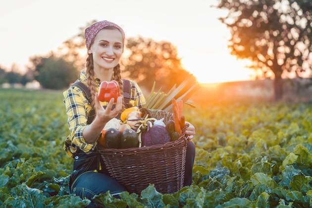  Farmer woman selling colorful and healthy vegetables ,model released, Symbolfoto  Copyright: xKzenonx Panthermedia25877336