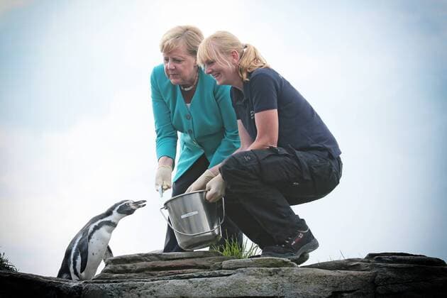News Themen der Woche KW33 News Bilder des Tages Angela Merkel besucht Ozeaneum in Stralsund und füttert Pinguine *** Angela Merkel