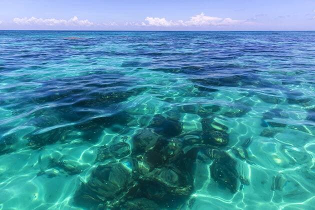 Turneffe Atoll, Belize August 1st, 2019 - Illustrative picture of protected area, Turneffe Atoll in the Caribbean sea - Turquoise water at the Atoll entrance ATOLL TURNEFFE, BELIZE, AMERIQUE CENTRALE, INSULAIRE, ILES CORALLIENNES, ENVIRONNEMENT, ECOSYSTEME, NATURE, MARIN, MER DES CARAIBES, HONDURAS BRITANNIQUE, LAGON, AIRE MARINE PROTEGEE, EAUX, BARRIERE DE CORAIL, RECIFS CORALLIENS, PAYSAGES, RESERVE MARINE, TASA, TURNEFFE ATOLL SUSTAINABILITY ASSOCIATION, ENVIRONNEMENTAL, ECOLOGIE, PRESERVATION DES OCEANS, DESTINATION DE VOYAGE, TOURISME, SITE TOURISTIQUE, DESTINATION, BIODIVERSITE, TURQUOISE, PARADIS, PARADISIAQUE, PROPRE, LIMPIDE, TRANSPARENT  Copyright: xVincentxIsorex