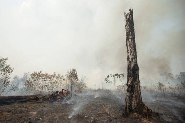 IMAGO Nature: Unsere Erde, Klimawandel, Waldbrände View of one of the fires, in the Amazon of Rondonia, Brazil, 24 August 2019. Brazil began this Saturday to deploy the 44,000 soldiers it has in the vast Amazon region to fight forest fires in this area that have put the government of Jair Bolsonaro in check, internationally criticized for not having reacted in time. The smoke covers the Amazon !ACHTUNG: NUR REDAKTIONELLE NUTZUNG!  Copyright: xJoedsonxAlvesx AME9839 20190824-637022824836682702