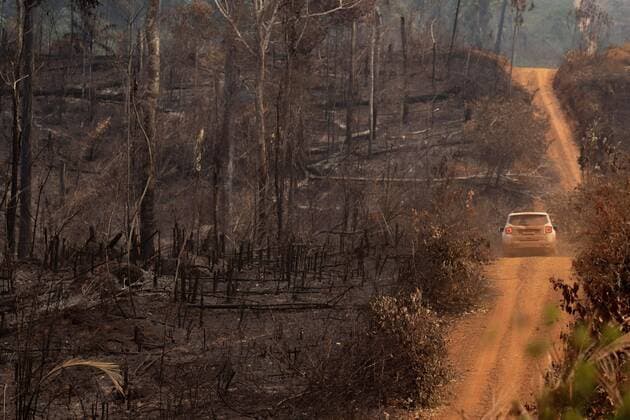 IMAGO Nature: Unsere Erde, Klimawandel, Waldbrände View of an Amazon forest zone destroyed by fires in the state of Rondonia, Brazil, 25 August 2019. The northern state of Amazon formalized this Sunday the request for the Brazilian Armed Forces to act in the fight of the fires that hit the Amazon region, so there are already seven Brazilian states that have formally requested the help of the military. Up to 7 Brazilian States will have reinforcements to fight fire in Amazon !ACHTUNG: NUR REDAKTIONELLE NUTZUNG!  Copyright: xJoedsonxAlvesx AME162 20190825-637023681640418364