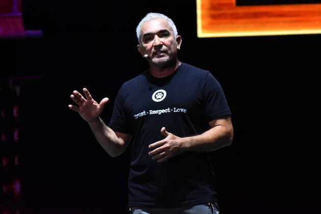 Cesar Millan Once Upon A Dog Show in Mexico MEXICO CITY, MEXICO - AUGUST 25: The Dog Trainer Cesar Millan speaks on stage during his show Once Upon A Dog at Mexico City Arena on August 25, 2019 in Mexico City, Mexico  Copyright: xCarlosxTischlerx EYE_4334
