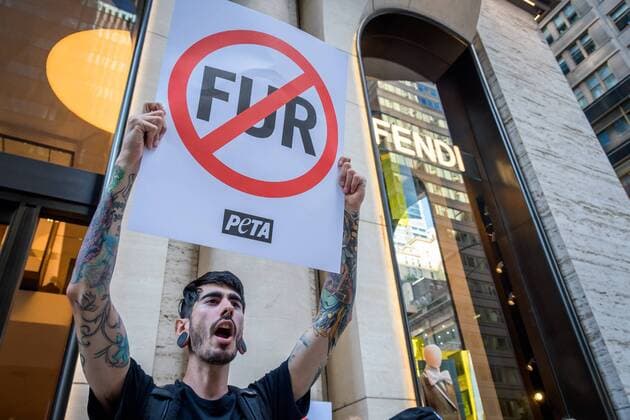 News Themen der Woche KW34 News Bilder des Tages August 25, 2019, New York, USA: Animal Liberation activists targeted luxury fashion brands DIOR, FENDI, and D&G retail stores in New York on August 25, 2019 closing out the Official Animal Rights March weekend by sending a loud and powerful message to fur peddlers in NYC demanding they stop selling real fur and to stop killing animals for their fur. USA - ZUMAm432 20190825_znp_m432_016 Copyright: xErikxMcGregorx