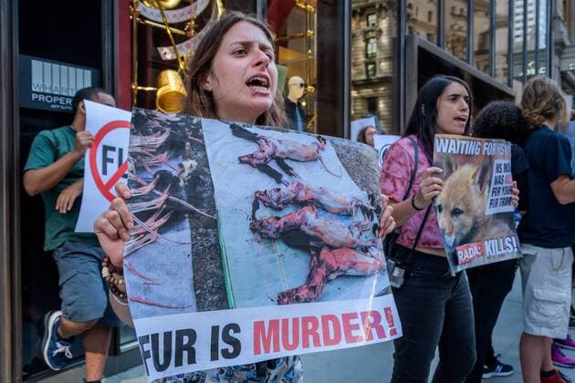 NYC: Anti-Fur protest at luxury brand stores Animal Liberation activists targeted luxury fashion brands DIOR, FENDI, and D&G retail stores in New York on August 25, 2019 closing out the Official Animal Rights March weekend by sending a loud and powerful message to fur peddlers in NYC demanding they stop selling real fur and to stop killing animals for their fur. New York New York United States New York City  ErikxMcGregor
