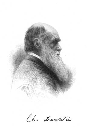 Charles Darwin (1809-1882) English naturalist. A pioneer of theory of Evolution by Natural Selection. Engraving and signature Photos12.com - Ann Ronan Picture Library Copyright: xPhoto12 AnnxRonanxPicturexLibraryx ARP07103460000582