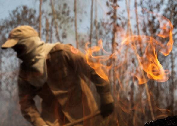 IMAGO Nature: Unsere Erde, Klimawandel, Waldbrände News Bilder des Tages A fireman works to extinguish the fire at the forest near to Porto Velho, Brazil, 28 August 2019. Brazil Amazon region sufer the worst fires of the last years. The Government of Brazil has deployed some 40,000 military in the Amazon region. The fighting against the fires in Brazilian Amazon continues !ACHTUNG: NUR REDAKTIONELLE NUTZUNG!  Copyright: xJoédsonxAlvesx AME1050 20190828-637026171085960941