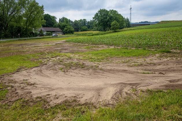 Mais (Zea mays), nach Starkregen von Maisacker in Hanglage in Bachaue abgeschwemmter Humus, Sedimenteintrag in Gewaesser, Deutschland, Bayern, Isental Indian corn, maize (Zea mays), soil erosion after storm rains, Germany, Bavaria, Isental BLWS543279 Copyright: xblickwinkel A.xHartlx