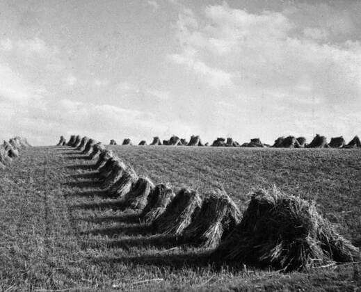 Sommer Heuernte im Sommer, Deutschland 1930er Jahre. Hay harvest in summer time, Germany 1930s., Copyright: JakobxVolk UnitedArchives0412