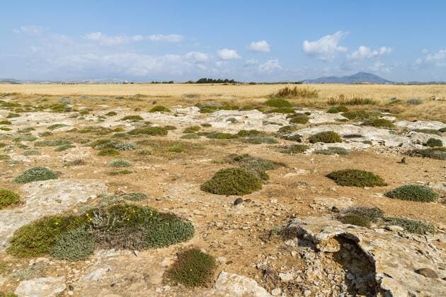 Landschaft Mazotos auf Zypern, Zypern, Mazotos Landscape Mazotos on Cyprus, Cyprus, Mazotos BLWS544645 Copyright: xblickwinkel AGAMI R.xMartinx
