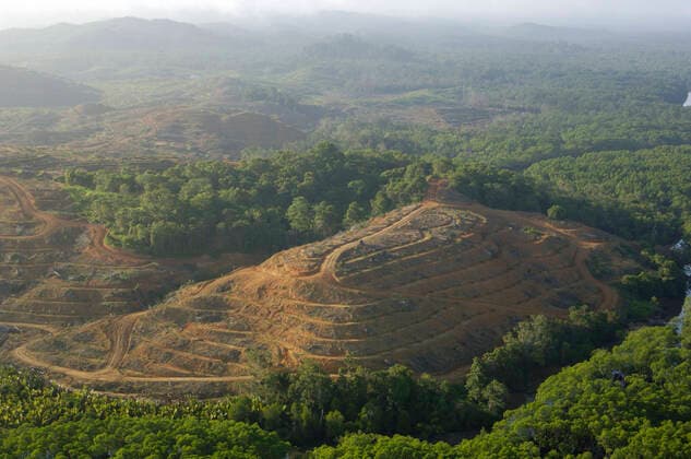 IMAGO Nature: Unsere Erde, Umweltverträgliche Herausforderungen, Palmöl Destruction of rainforest: preparation for oil-palm plantation which replaces rainforest in a river-valley, (Elaeis guineensis). Sabah, Borneo; Malaysia; June. Oil-palms oil is used in cosmetics, food and fuels, and the plantations now occupy vast territotories and still expand, threatening forests.  Copyright: AndreyxZvoznikov 10867253