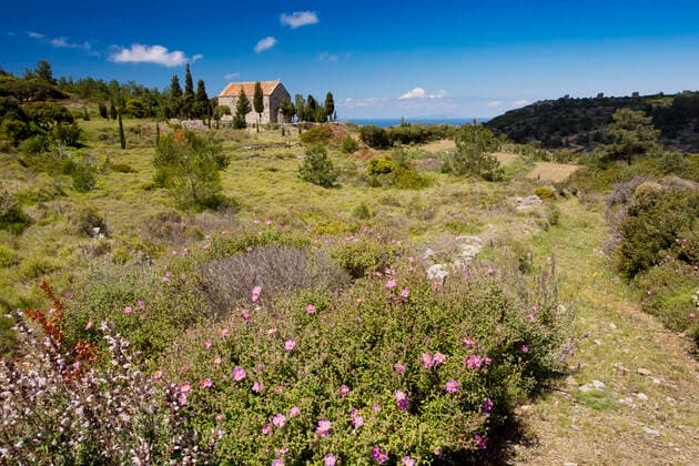 Flowery Garrigue and Pasture in spring around the church of Aghios Antonios, between Olympi and Mesta Chios, Greece.  Copyright: BobxxGibbons 11073866