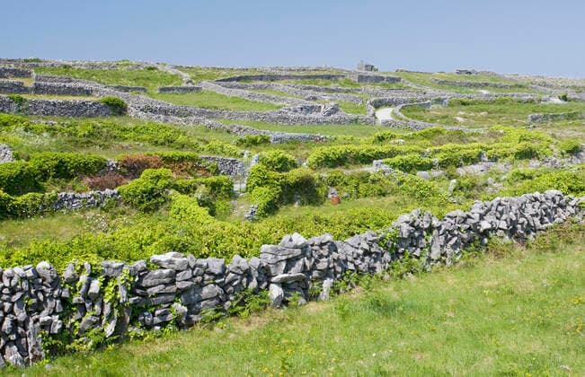 Small limestone-walled old fields on Inisheer the Burren. western Eire.  Copyright: BobxxGibbons 10756546