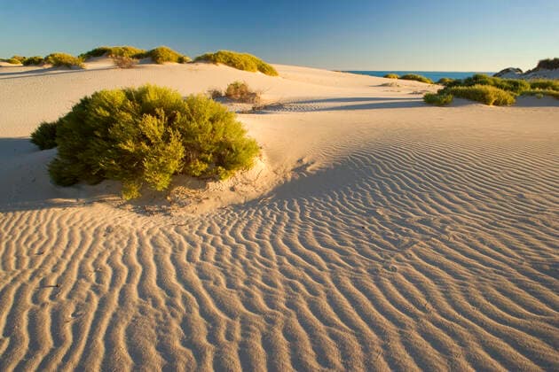 IMAGO Nature: Unsere Erde, Naturschutz, Naturschutzgebiete in Ozeanien White dunes - dunes of nearly white sand stretch along the coastline in Cape Range National Park near Pilgramunna. The sand ripples are illuminated by a very low evening sun. Cape Range National Park, Ningaloo Reef Marine Park, Western Australia, Australia.  Copyright: Steffenx&xAlexandraxSailer 10758019