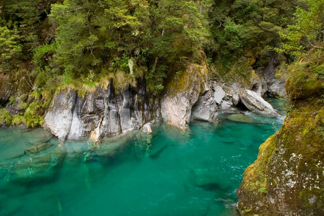 Blue Pools - famous pools of amazingly clear river water located within lush temperate rainforest. Haast Pass, South Island, New Zealand.  Copyright: Steffenx&xAlexandraxSailer 10759706