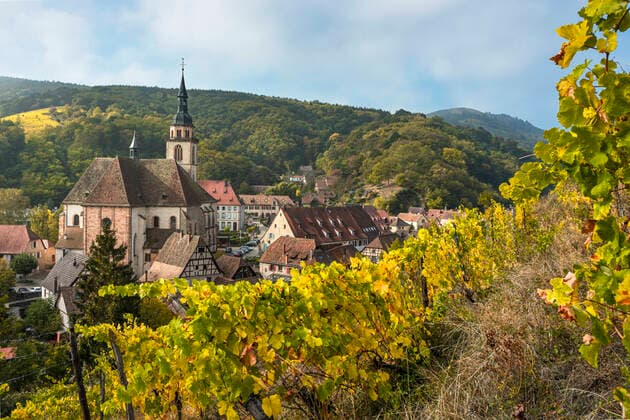 Dorf Andlau und seine Weinberge von oben gesehen, Elsässer Weinstraße, Frankreich, Panorama mit Weinreben und Ausläufern der Vogesen