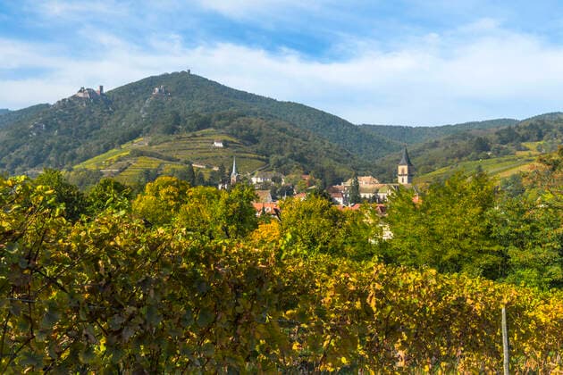 Panorama des Dorfes Ribeauvillé mit Landschaft, Elsässer Weinstraße, Frankreich, Vogesen mit Weinbergen und Burgen im Hintergrund
