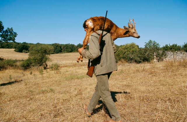 SHOOTING - Hunter carrying dead Deer  Copyright: M.xWatson 10785213