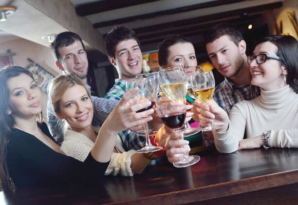 Group of happy young people drink wine at party disco restaurant,model released, Symbolfoto ING_32193_47079