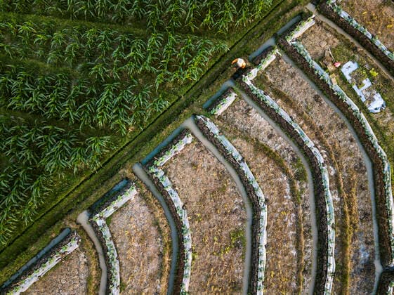 Drone shot of agricultural landscape, Bali, Indonesia  KNTF03360