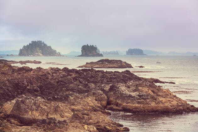 Vancouver Island. Canada ING_19071_29308