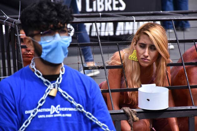 World Animal Day- hunger strike protest MEXICO CITY, MEXICO - OCTOBER 4: Activists protest holding animals dead against animal abuse, a global movement for animal rescue and demanding Rose s law, an initiative that began with the rescue of the Rose hen on September 29, 2018 in a Amazon-owned farm so which activists in different parts of the world call for the initiative of a law in favor of animal rights as part of world animal day at National Palace on October 4, 2019 in Mexico City, Mexico  Copyright: xCarlosxTischlerx EYE_7803