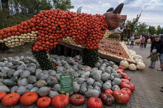 Kürbisausstellung auf dem Spargelhof Klaistow *** Pumpkin exhibition at the asparagus farm Klaistow