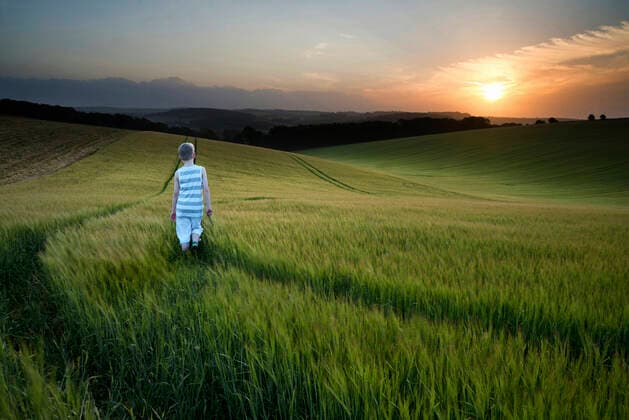 IMAGO Creative: Sommer, Abendspaziergang Landscape young boy walking through crop field at sunset,model released, Symbolfoto ING_19067_02576