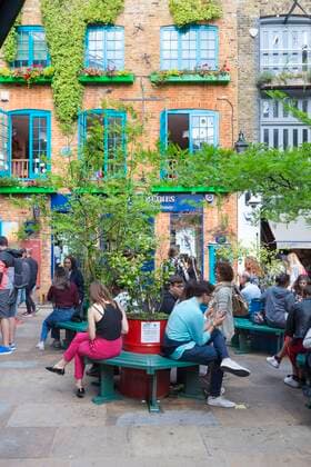 Neal s Yard, Covent Garden, London, England, Großbritannien, Europa Copyright: imageBROKER/XYZxPICTURES iblbdn05040864.jpg