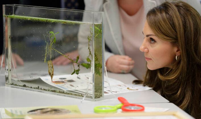 . 09 10 2019. London, United Kingdom. The Duchess of Cambridge at the Natural History Museum s Angela Marmont Centre for UK Biodiversity in London.  xPoolx xi-Imagesx IIM-20245-0011
