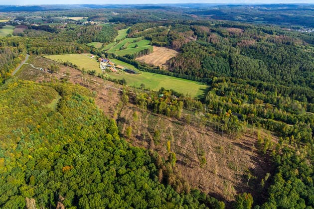 Luftbild, Waldgebiet, Am Hexenteich, Menden, Nordrhein-Westfalen, Deutschland !ACHTUNGxMINDESTHONORARx60xEURO!