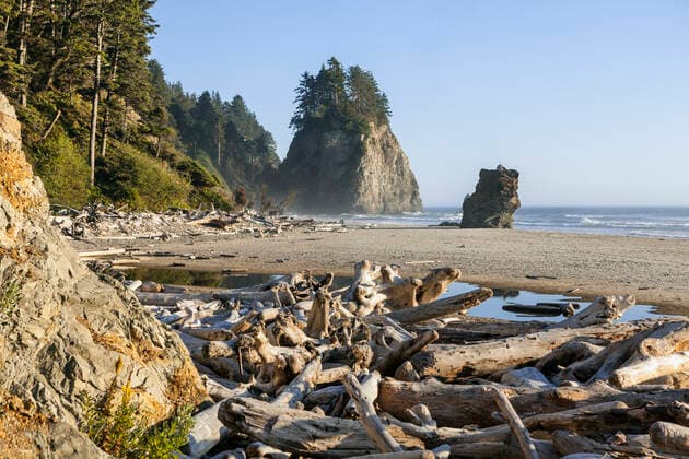 Beach at Mosquito Creek, Olympic National Park, Washington, USA. August 2015.  1531405 Kirkendall-Spring