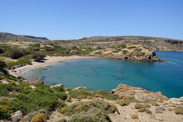 Phrygana garrigue scrub vegetation on arid headland, and Cretan date palms (Phoenix theophrasti) growing behind a beach, Itanos, Lasithi, Crete, Greece, May 2013.  1536054 NickxUpton
