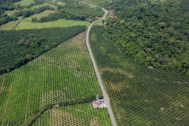 IMAGO Nature: Unsere Erde, Umweltverträgliche Herausforderungen, Palmöl Aerial view of Palm oil (Elaeis guinensis) plantation eating into tropical rainforest, Osa Peninsula, Costa Rica  1543472 AlexxHyde