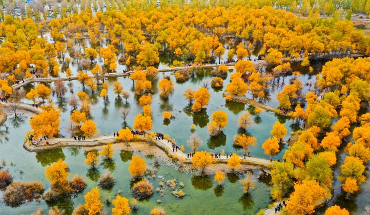 Bilder des Jahres 2019, News 10 Oktober News Themen der KW42 October 15, 2019, Gansu, Gansu, China: GansuÃ¯Â¼Å’CHINA-On October 13, 2019, a number of tourists watched the beautiful scenery of Populus euphratica in Jinta County, Jiuquan County, Gansu Province... It is reported that the desert Populus euphratica forest in Jinta County is the largest artificial planting forest in Hexi Corridor, Gansu Province, with an area of more than 80,000 mu. In the golden autumn of October, the forest of Populus euphratica turned into a piece of golden yellow, flashing with dazzling golden light. Gansu China  - ZUMAs145 20191015_zaa_s145_098 Copyright: xWangxJiangx