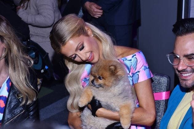 Paris Hilton launch Electrify perfume in Mexico City MEXICO CITY, MEXICO - OCTOBER 17: The businesswoman and socialite Paris Hilton holds a dog during the launch of her Electrify perfume at W Hotel on October 17, 2019 in Mexico City, Mexico  Copyright: xCarlosxTischlerx EYE_5804