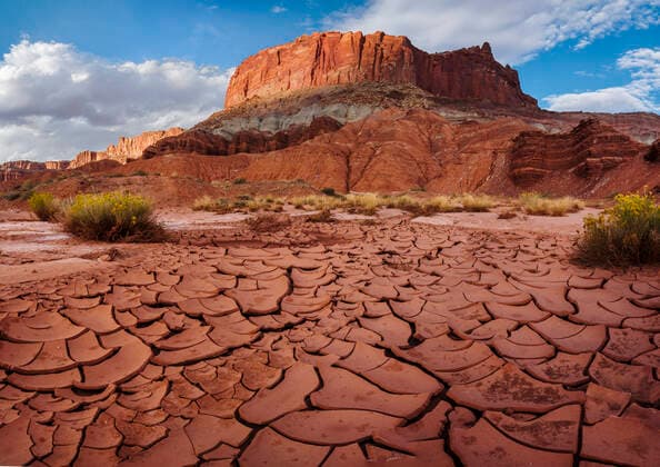 Towering sandstone cliffs rise over the sun-baked dry clay below. Capitol Reef National Park, Utah, October.  1563026 JackxDykinga