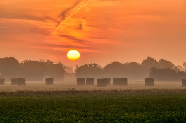 Hyllekrog. 29 JUL 2019. Sonnenaufgang über einem Feld bei Hyllekrog auf Lolland. DÄNEMARK. *** Hyllekrog 29 JUL 2019 Sunrise over a field at Hyllekrog on Lolland DENMARK Copyright: RPH Priller&MAUG RPH0B0099X